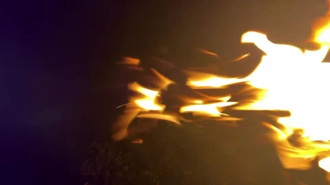 Strong fire on black background. Yellow flames on black background. Beautiful Stock Footage 307387651