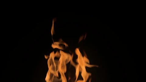 Strong fire on black background. Yellow flames on black background. Beautiful Stock Footage 313874364