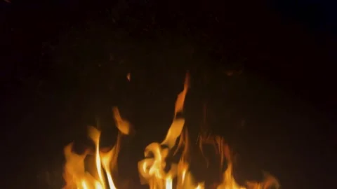 Strong fire on black background. Yellow flames on black background. Beautiful Stock Footage 316392104