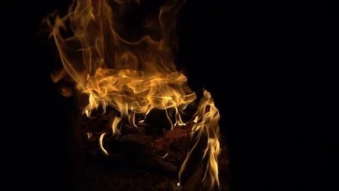 Strong fire.   burning. Large flame closeup slow motion isolated Stock Footage 102603748