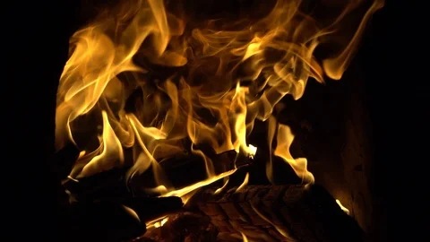 Strong fire.   burning. Large flame closeup slow motion isolated Stock Footage 102604531