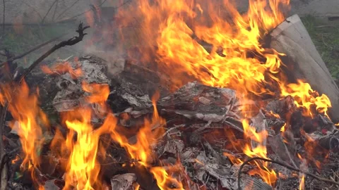 Strong fire from dry branches Stock Footage 159142438