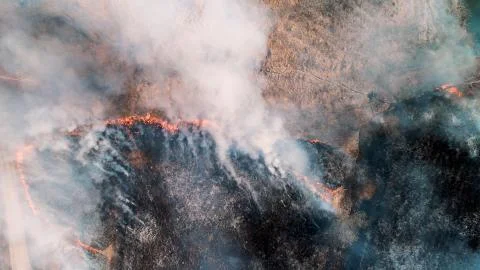 Strong fire in an empty field. Strong smoke from the burning place. Stock Photos