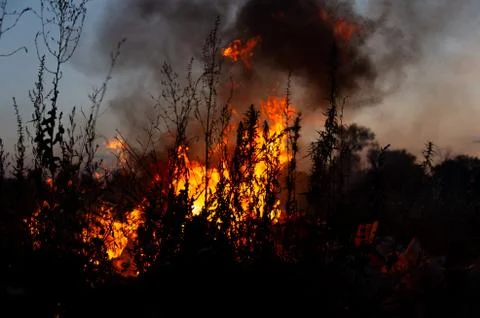 A strong fire in the open air Stock Photos