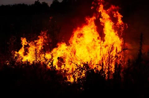 A strong fire in the open air Stock Photos