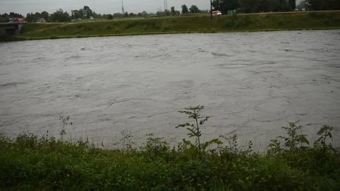 Strong flood at the rhine river in Bendern in Switzerland 스톡 동영상 249027583