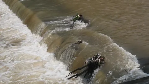 The strong flow and murky brown water Stock Footage 312687196