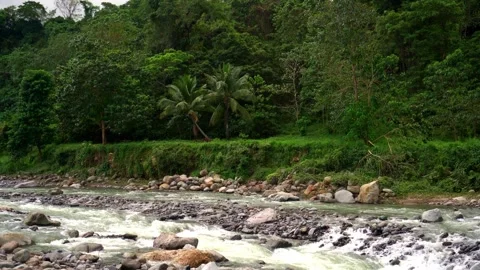 Strong Flow Clean Mountain River Geothermal Spring Hot Steam Rising Tropical Stock Footage 260262673