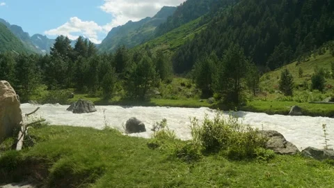 Strong flow of deep mountain river with the clearest water with green shores on Stock Footage 140094387
