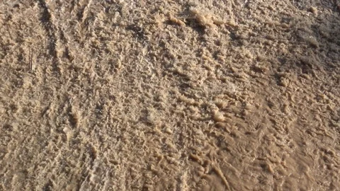 Strong flow of water and mud along a riverbed Stock Footage 294921458