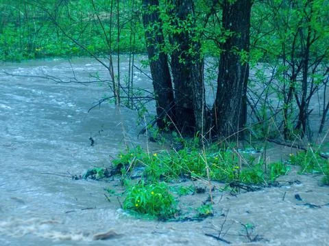 Strong flow of water in the forest Stock Photos