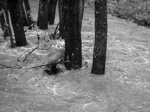Strong flow of water in the forest Stock Photos