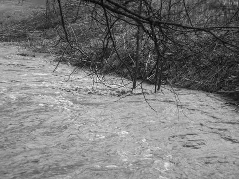Strong flow of water in the forest Stock Photos
