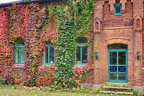 Strong green facade of a rustic house with windows and Door. Stock Photos