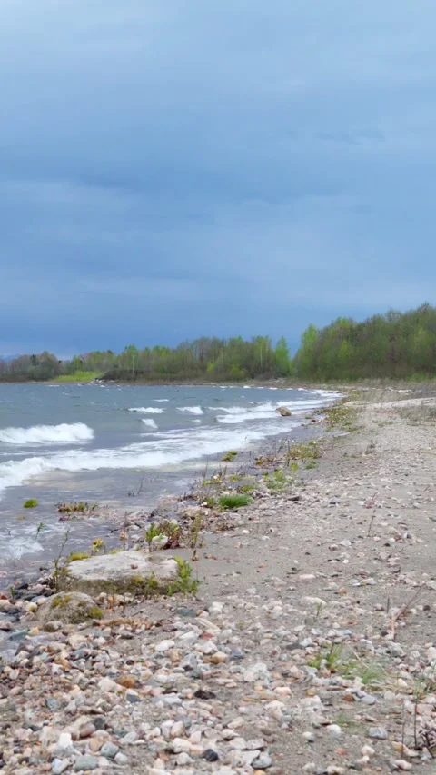 Strong gusts of wind and big waves on the shore of the lake. Stock Footage 276876888