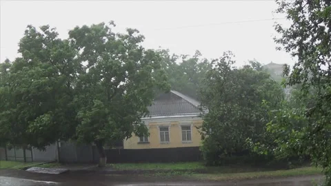 Strong gusts of wind sway trees during a thunderstorm period. Abundant raindrops Video stock 144235116