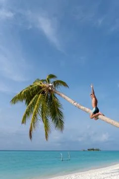Strong guy screaming on the big palm. Stock Photos