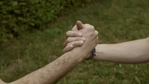 Strong Handshake in a Park Video stock 80525481