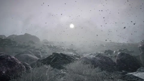 A strong hurricane-force wind picks up dust, sand and leaves during a storm. The Stock Footage 134167464