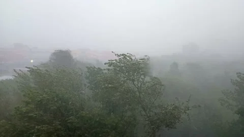 Strong hurricane outside the window. Trees under heavy rain and very heavy wind Stock Footage 161084530