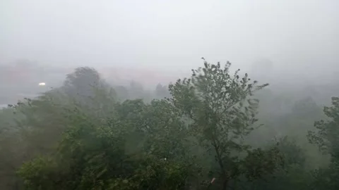 Strong hurricane, trees under heavy rain and very heavy wind. Storm wind gust Stock Footage 160858279