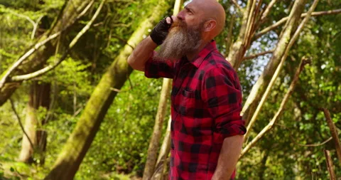 Strong lumberjack in plaid shirt chops tree in wood with sharp axe Stock Footage 154436645