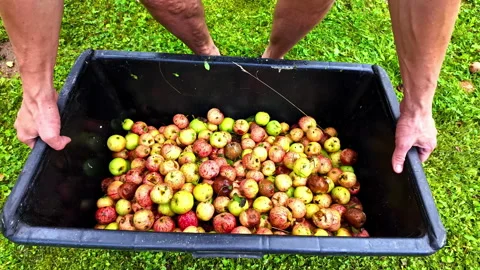 Strong man forcefully lifting a heavy black container filled with fresh Stock Footage 285719964