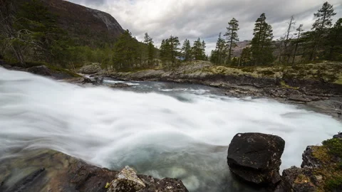 Strong mountain river rush in the forest Stock Footage 250461885