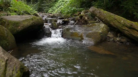 Strong mountain stream flowing over rocks Stock Footage 102056005