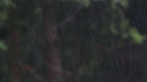 Strong rain blur background video Stock Footage 247286808