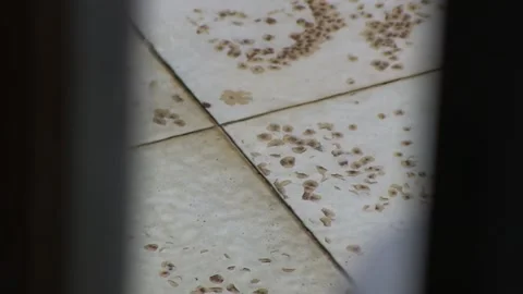 STRONG RAIN IN THE FLOOR Stock Footage 94759662