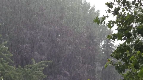 Strong rainfall Video stock 77600366