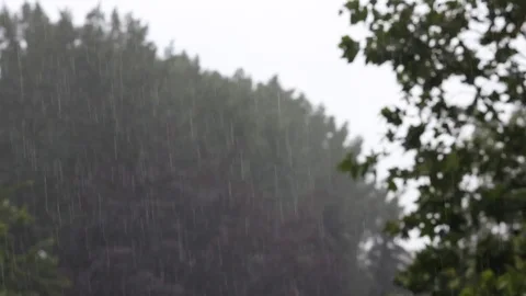 Strong rainfall Stock Footage 77601192