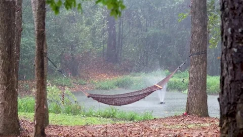 Strong Rainstorm Over Hammock and Pond with Ambient Sound Stock Footage 319027014