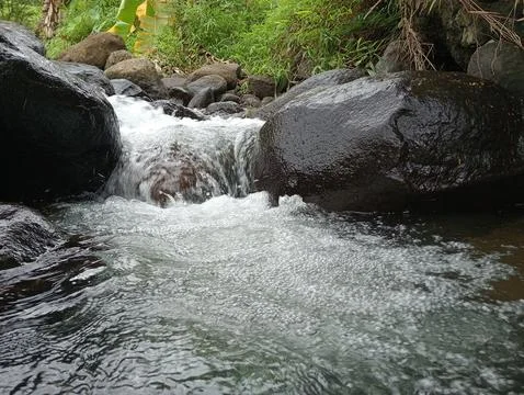 Strong River Current Flowing Through Rocky Forest Stream Foto stock