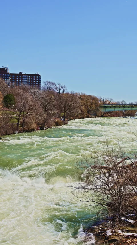 Strong river current flows through a city area with buildings and trees near the Stock Footage 337949040