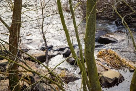 Strong river current with lots of rocks and shrubs in winter Stock Photos
