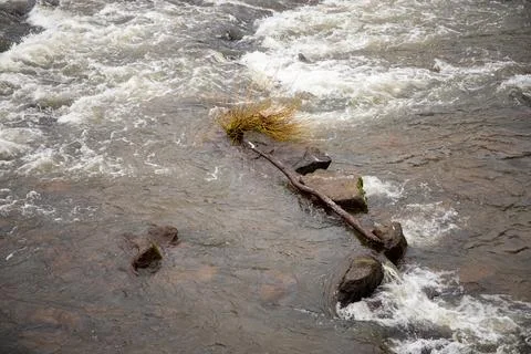 Strong river current with lots of rocks and shrubs in winter Stock Photos