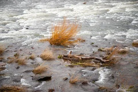 Strong river current with lots of rocks and shrubs in winter Stock Photos