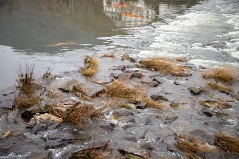 Strong river current with lots of rocks and shrubs in winter Stock Photos