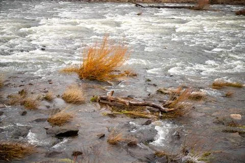 Strong river current with lots of rocks and shrubs in winter Stock Photos