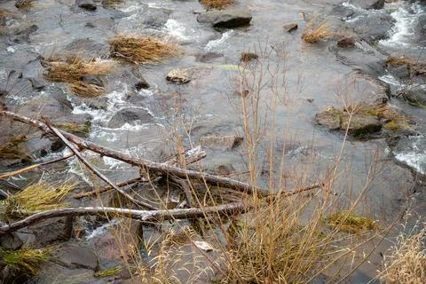 Strong river current with lots of rocks and shrubs in winter Stock Photos