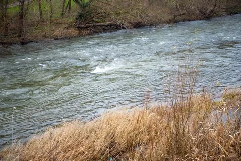 Strong river current with lots of rocks and shrubs in winter Stock Photos