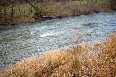 Strong river current with lots of rocks and shrubs in winter Stock Photos