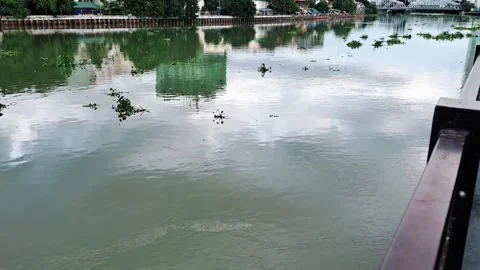 Strong river current reflecting the clouds and sky, moving water lilies Stock Footage 290350157