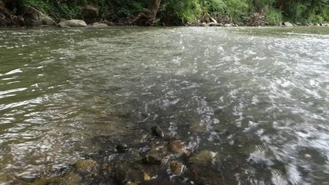 Strong river flow in nature Stock Footage 113332637
