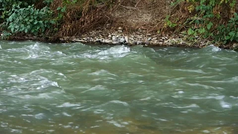 Strong river flow in nature Stock Footage 113333034
