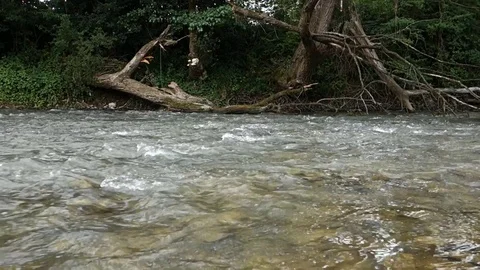 Strong river flow in nature Stock Footage 113333103