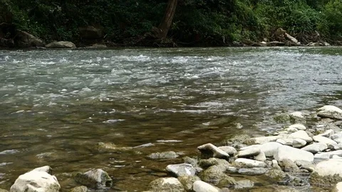 Strong river flow in nature Stock Footage 113333145