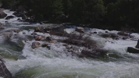 Strong River Rapids Stock Footage 238968050